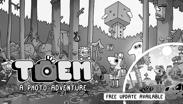 TOEM Steam capsule